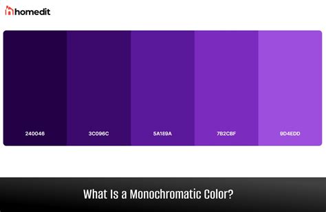 Monochrome Definition in Art: An Insightful Exploration into a Single Color’s Artistic Expression