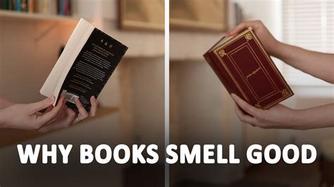 Why Do Books Smell Good: The Enigmatic Allure of Bibliophilic Aromas